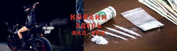стаф Волосово