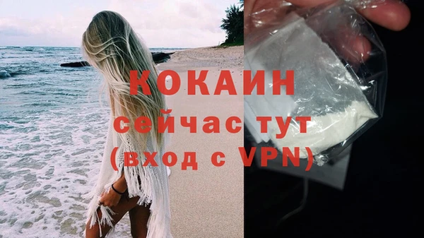 стаф Волосово