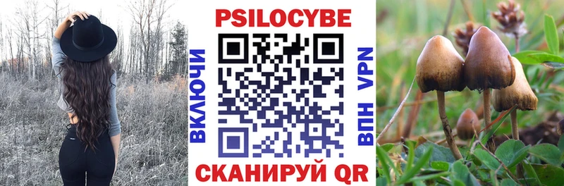 Галлюциногенные грибы ЛСД  купить  цена  Перевоз 